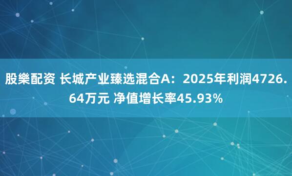 股樂配资 长城产业臻选混合A：2025年利润4726.64万元 净值增长率45.93%