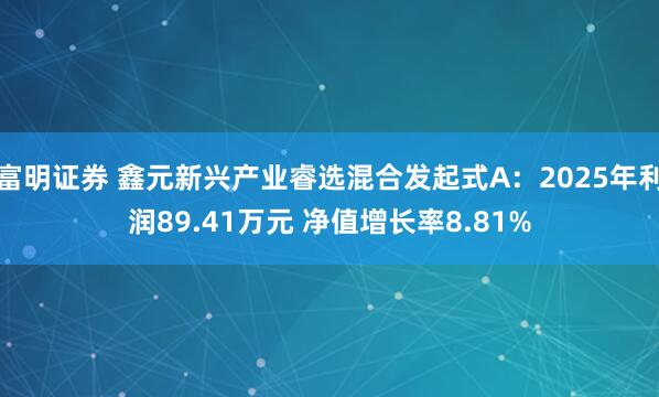 富明证券 鑫元新兴产业睿选混合发起式A：2025年利润89.41万元 净值增长率8.81%